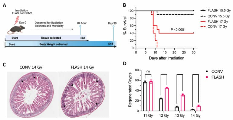 Independent Reproduction of the FLASH Effect on the Gastrointestinal Tract: A Multi-Institutional Comparative Study